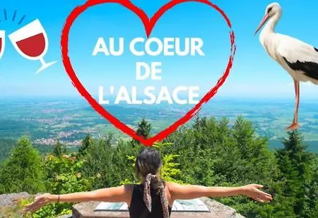Plaisirs D'alsace - - Colmar - Route Du Vin Дом отдыха