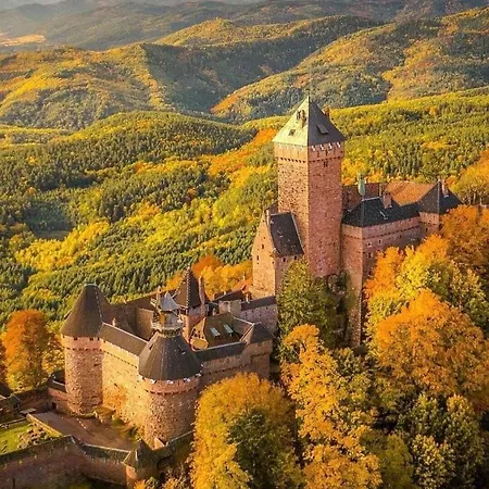 Дом отдыха Plaisirs D'alsace - - Colmar - Route Du Vin