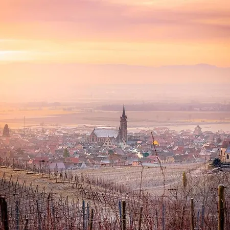 Plaisirs D'alsace - - Colmar - Route Du Vin Дом отдыха *