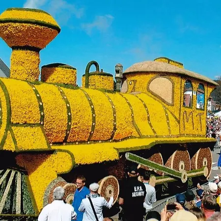 Plaisirs D'alsace - - Colmar - Route Du Vin Мюнстер