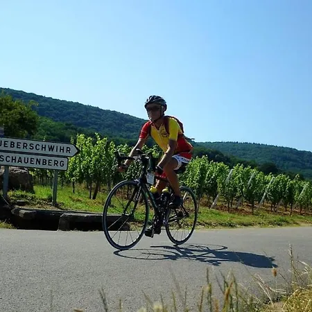 Plaisirs D'alsace - - Colmar - Route Du Vin * Мюнстер