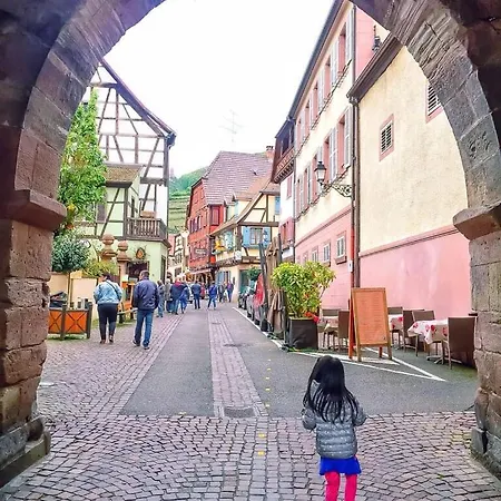 Plaisirs D'alsace - - Colmar - Route Du Vin * Мюнстер