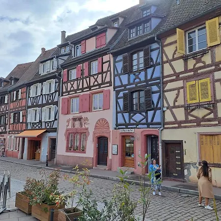 Plaisirs D'alsace - - Colmar - Route Du Vin
