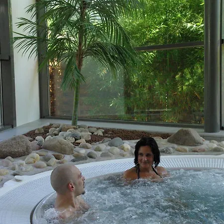 Hébergement de vacances Plaisirs D'alsace - - Colmar - Route Du Vin Munster (Haut-Rhin)