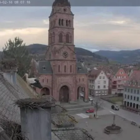 Plaisirs D'alsace - - Colmar - Route Du Vin Hébergement de vacances