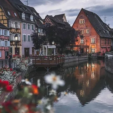 別荘 Plaisirs D'alsace - - Colmar - Route Du Vin