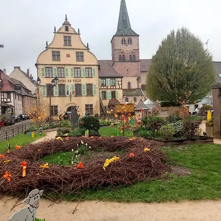 Plaisirs D'alsace - - Colmar - Route Du Vin Munster (Haut-Rhin)