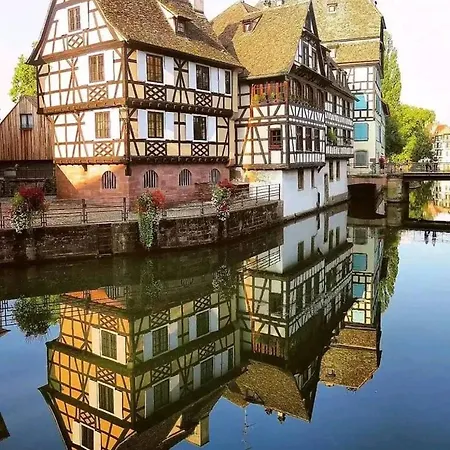 別荘 Plaisirs D'alsace - - Colmar - Route Du Vin マンステール
