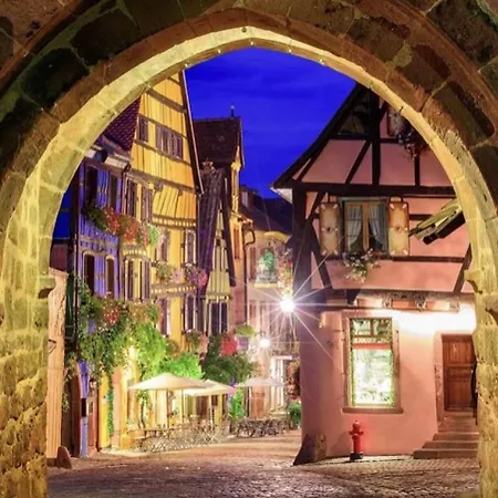 Plaisirs D'alsace - - Colmar - Route Du Vin *