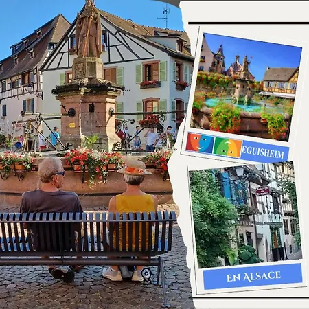 Plaisirs D'alsace - - Colmar - Route Du Vin Hébergement de vacances