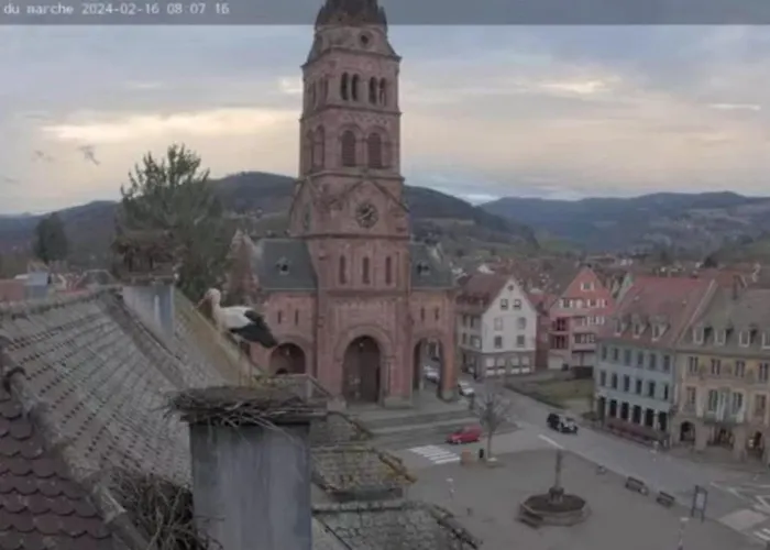 Plaisirs D'alsace - - Colmar - Route Du Vin Nyaraló