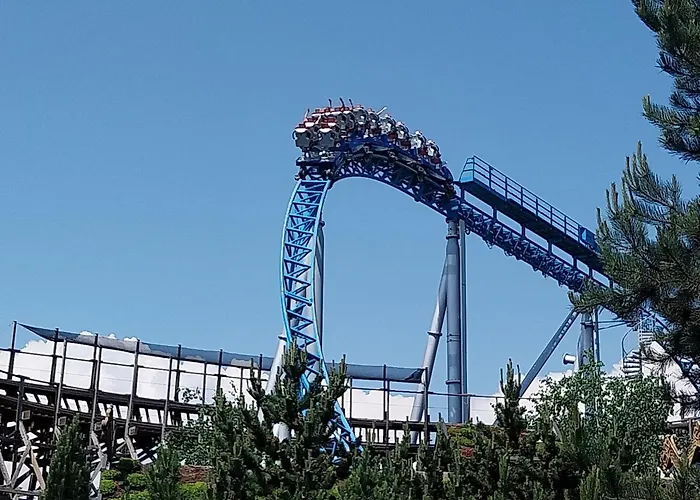 Plaisirs D'alsace - - Colmar - Route Du Vin Munster