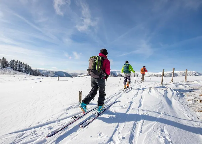 Nyaraló Plaisirs D'alsace - - Colmar - Route Du Vin Munster