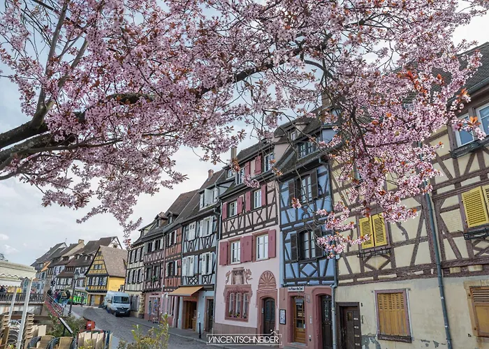 Plaisirs D'alsace - - Colmar - Route Du Vin Nyaraló *
