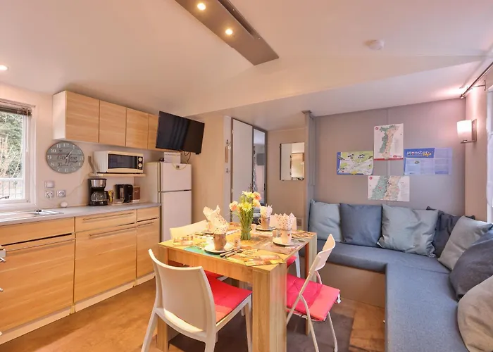 Plaisirs D'alsace - - Colmar - Route Du Vin