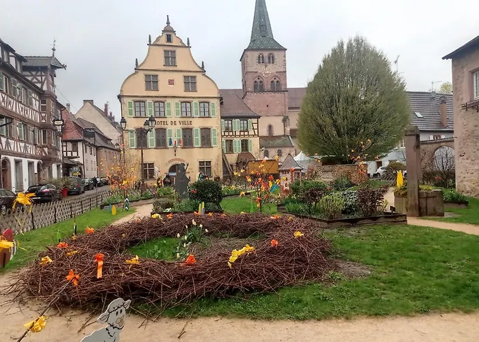 Plaisirs D'alsace - - Colmar - Route Du Vin Munster