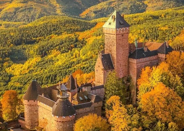 Plaisirs D'alsace - - Colmar - Route Du Vin * Munster